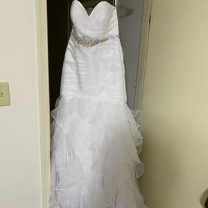 Wedding dress and veil
